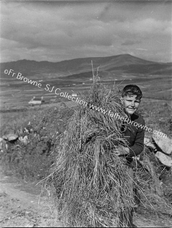 HAYTIME